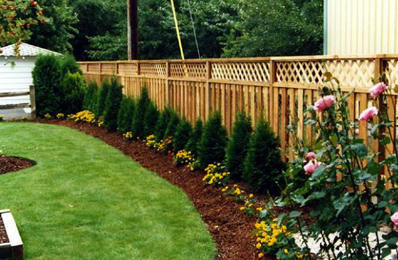 landscaping around the fence